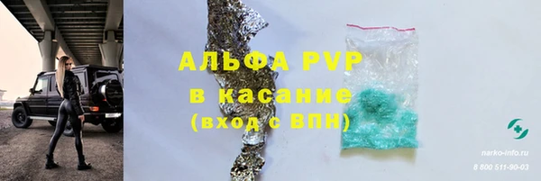 эйфоретик Алзамай