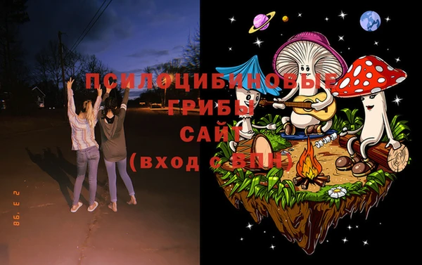 эйфоретик Алзамай