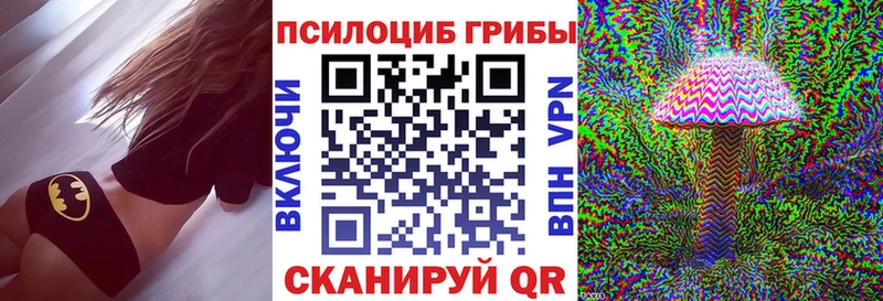 Псилоцибиновые грибы MAGIC MUSHROOMS  где купить наркотик  Перевоз 